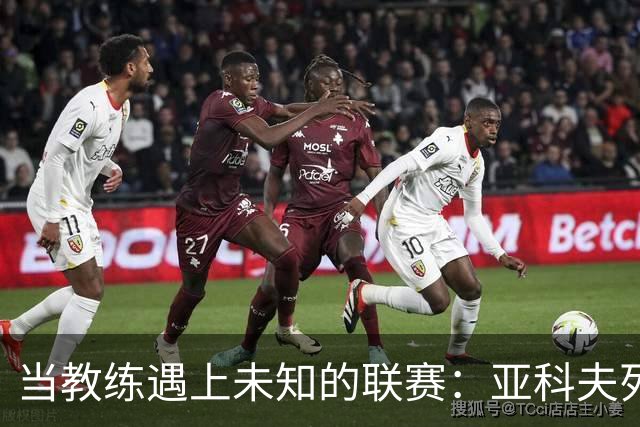 当教练遇上未知的联赛：亚科夫列维奇的尴尬旅程